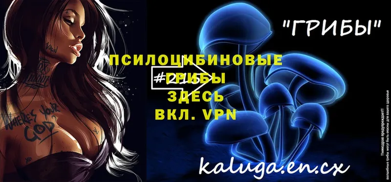 Галлюциногенные грибы Psilocybe  darknet клад  Дорогобуж 